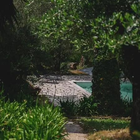 Dimoulitsa Complex Doukádes