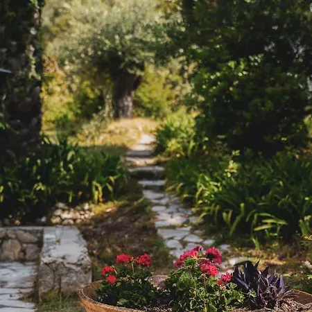 Holiday home Dimoulitsa Complex