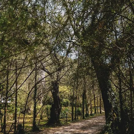 Dimoulitsa Complex Doukádes