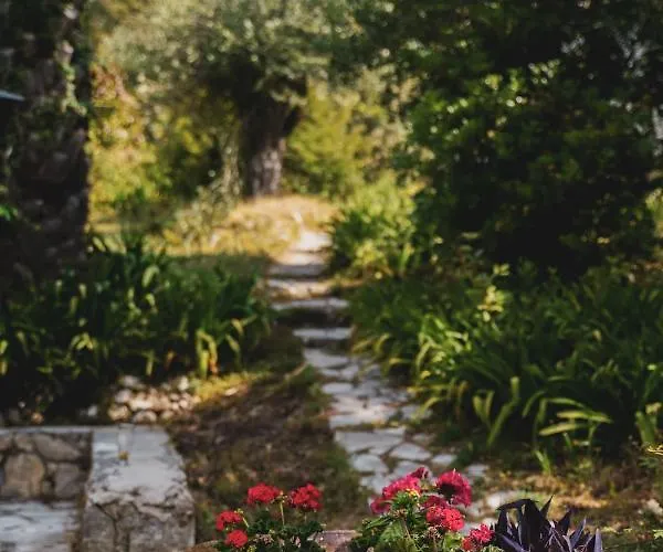 Σπίτι διακοπών Dimoulitsa Complex