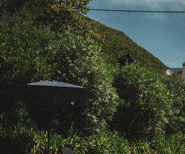 Dimoulitsa Complex *